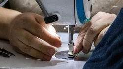 На Ставрополье действует 153 тыс. самозанятых