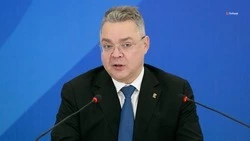 Глава Ставрополья принял участие в заседании федерального штаба по газификации