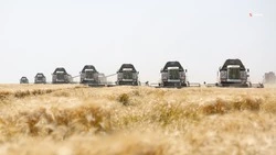 Поставку топлива ставропольским аграриям обеспечивают восемь регоператоров