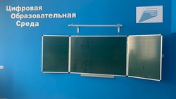 Цифровую образовательную среду внедрили в 30% школ Петровского округа