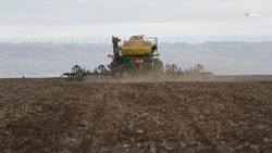 Аграрии Ставрополья приступили к севу гороха