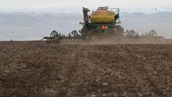 На Ставрополье посеяли бахчевые культуры на площади около 200 га