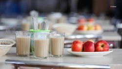 Ставропольцам разъяснили порядок получения бесплатного школьного питания для детей участников СВО