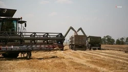 Ставропольские аграрии получили более 50% субсидий с начала года