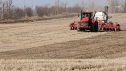 Земледельцы Петровского округа приступили к севу ранних яровых