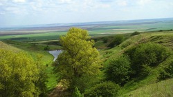 Глава Петровского округа рассказала об истории населённых пунктов