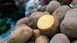 Аграрии Ставрополья собрали 87 тыс. тонн картофеля