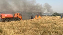 Сильные пожары произошли в полях Петровского округа