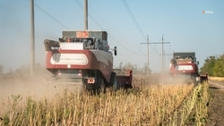 Реализацию мер поддержки аграриев ускорят на Ставрополье