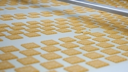 Производство продукции пищепрома выросло на Ставрополье на 13%