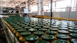 Реализация инвестпроектов повышает экономической потенциал Ставрополья