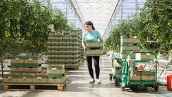 Ставрополье наладит сотрудничество с Омской областью в аграрной сфере 