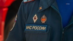 Пожарные потушили пламя в селе Благодатное