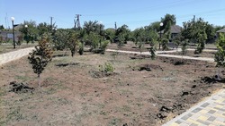 Общественное пространство благоустроили в селе Петровского округа