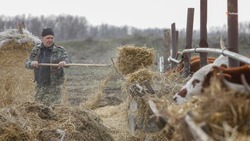 Аграрии Петровского округа приняли участие в заготовке сена 