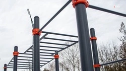 Спортплощадку оборудуют в посёлке Большевик по инициативе жителей 