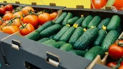 Более тысячи тонн овощей экспортировали со Ставрополья в 2022 году 