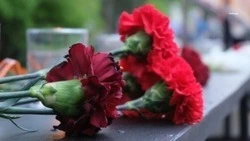 Памятный знак в честь героя спецоперации установят в Петровском округе