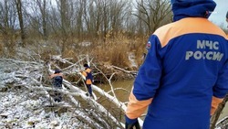 Специалисты и волонтеры расчищают от пластикового мусора реку в Петровском округе