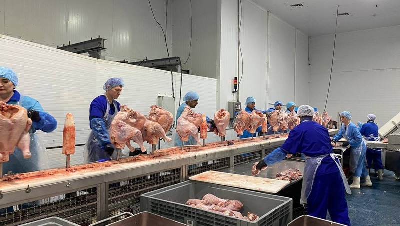 Ставропольские аграрии в 1,5 раза увеличили экспорт мяса птицы в ОАЭ
