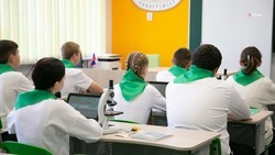 На Ставрополье более 80 тыс. школьников из многодетных семей получат выплаты