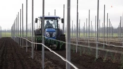  Агропредприятиям Ставрополья возмещают расходы на студентов-практикантов 