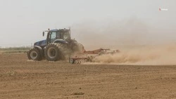 11,2 тыс. тонн репчатого лука собрали на Ставрополье