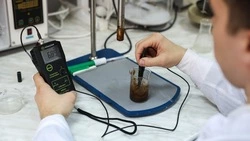 Новое лекарство от синдрома диабетической стопы создали на Ставрополье