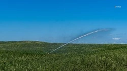Ещё 12 тысяч гектаров орошаемых земель введут на Ставрополье в этом году