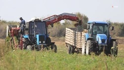Более тысячи льготных кредитов получили аграрии Ставрополья в 2025 году 