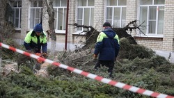 Около 20 единиц техники устраняют последствия урагана на Ставрополье