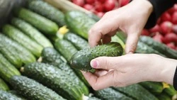 На Ставрополье увеличилось производство продуктов питания