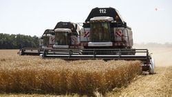 Аграрии Ставрополья убрали около 600 тыс. тонн зерна