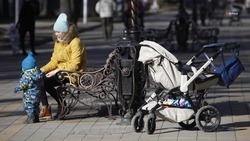 На Ставрополье оказывают бесплатные соцуслуги семьям мобилизованных