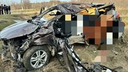 Трое детей погибли в ДТП на железнодорожном переезде в Петровском округе