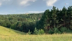 Защиту лесов от пожаров обеспечат на Ставрополье