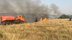 Сильные пожары произошли в полях Петровского округа