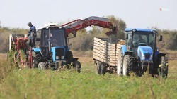 Льготные кредиты предоставят аграриям Ставрополья в 2024 году