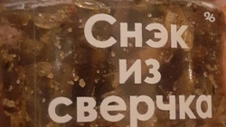 Ставропольский учёный рассказал о пользе продуктов из сверчковой муки для спортсменов