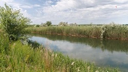 Третий этап расчистки русла реки стартовал в Светлограде