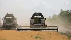 На Ставрополье обмолочено 85% уборочных площадей — губернатор Владимиров