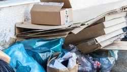 Ставропольцы собрали почти 50 тонн макулатуры