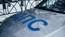Жительница Петровского округа пострадала во время ДТП