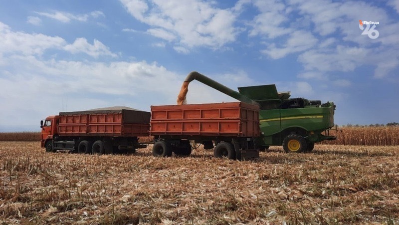 Ставропольский край занимает третье место в стране по урожаю зерновых