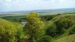 Глава Петровского округа рассказала об истории населённых пунктов