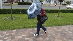 Сильный ветер 15-20 метров в секунду ожидается на Ставрополье 29 сентября