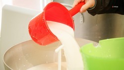 На 7% увеличил экспорт молочной продукции Ставропольский край