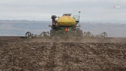 Второй этап азотной подкормки озимых проводят на  ставропольских полях