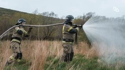 Глава минприроды Ставрополья поручил усилить патрулирование леса во время жары