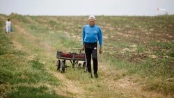На поддержку фермеров Ставрополья направят более 161 млн рублей 